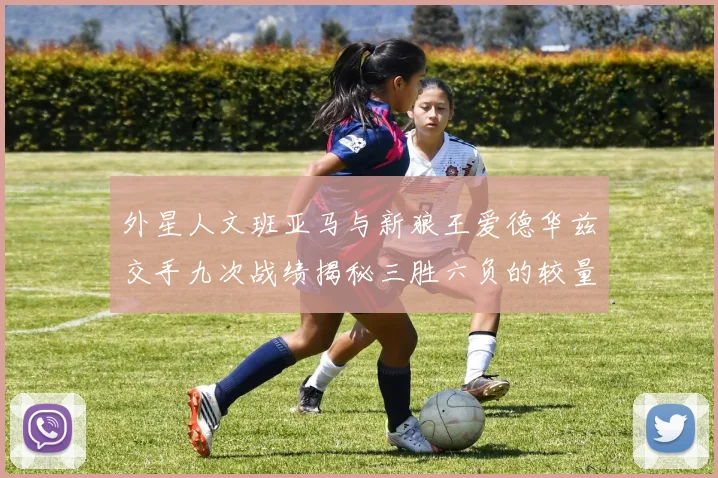 外星人文班亚马与新狼王爱德华兹交手九次战绩揭秘三胜六负的较量分析